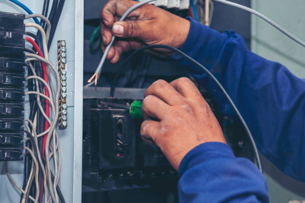 Best Electric Panel Repair  in Thorndale, TX